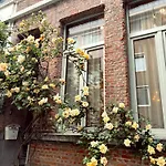 Holiday Home In Antwerp